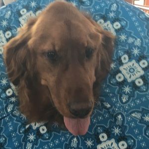 Meet your Posher, Ethan